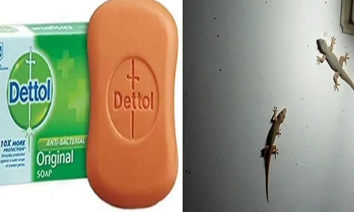  Lizards, Mosquito, Cockroaches, Onions, Cloves, Pepper, Dettol Soap, Spray-TeluguStop.com