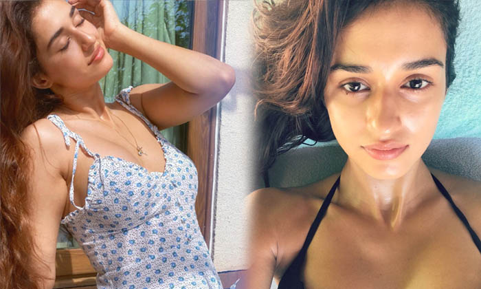 Disha Patani Gorgeous Viral Photos Shake Up The Social Media-telugu Actress Photos Disha Patani Gorgeous Viral Photos Sh High Resolution Photo