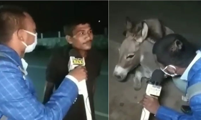 Telugu Interview, Corona, Donkey, Ips, Journalist, Lock-