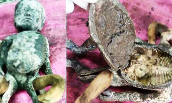  Police Sent Doll For Post Mortem, Post Mortem, Maharashtra Police, Toy, Dead Bod-TeluguStop.com