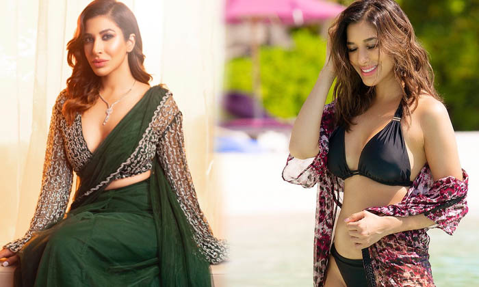 Mind Blowing Pictures Of Sophie Choudry-telugu Actress Photos Mind Blowing Pictures Of Sophie Choudry - Actresssophie  M High Resolution Photo