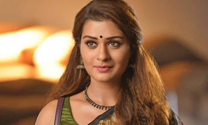  Payal Rajuput Didn't Made Mistake, Payal Rajput Movies, Venky Mama, Rx 100, Item-TeluguStop.com