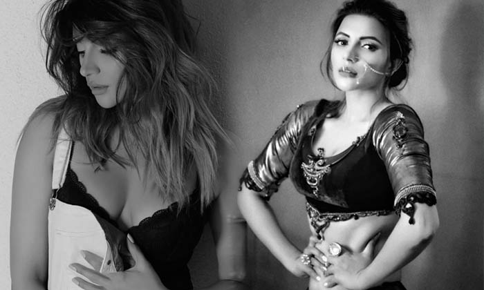 Shama Sikander Latest Full Hd Images-telugu Actress Photos Shama Sikander Latest Full Hd Images - Actressshama Shamasik High Resolution Photo