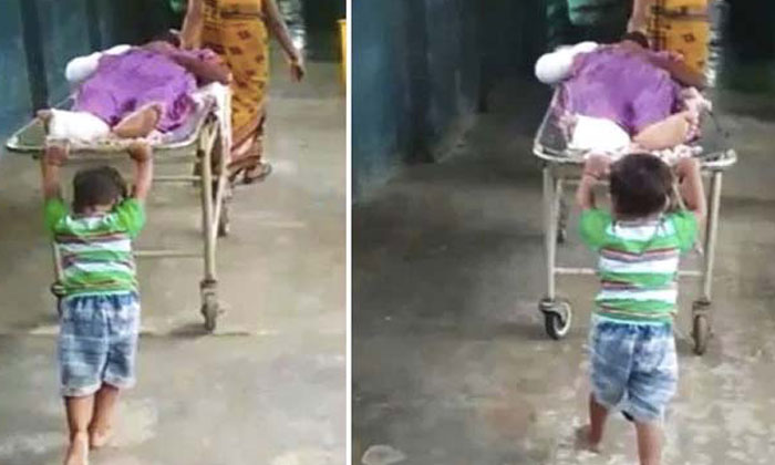  Six Year Old Boy, Grandfather,  Stretcher, Mother Refuses To Pay Bribe, Ward Boy-TeluguStop.com