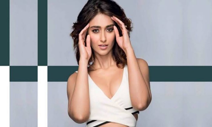  Telugu Directors Not Interested On Ileana, Bollywood, Tollywood, South Cinema, I-TeluguStop.com