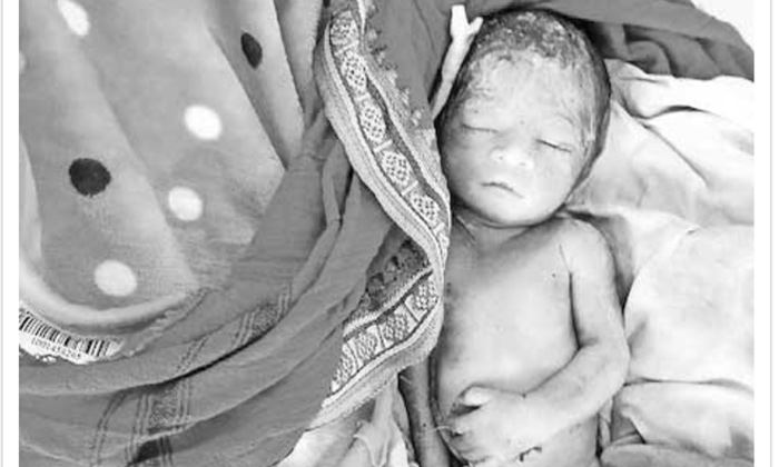  New Born Baby Thrown On Road, New Born Baby, Road, Nilofer Hospital, Amberpet-TeluguStop.com