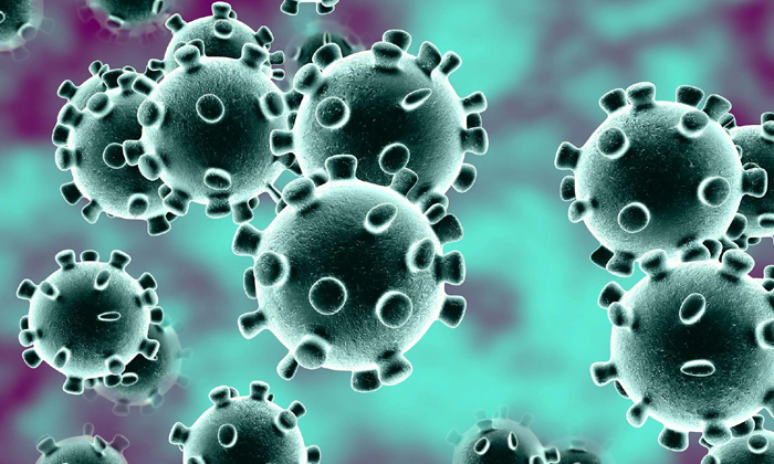  Ten Members Of Family Tests Coronavirus Positive In Chittoor District, Coronavir-TeluguStop.com