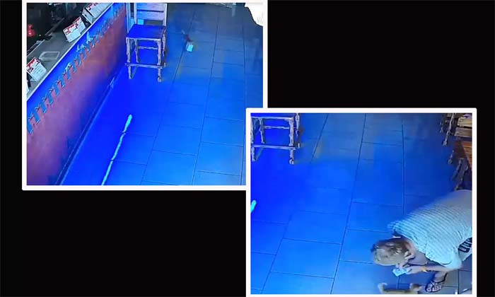  Cat Stealing Money,  Cat Attempts Escape After Stealing Money,viral Video, Cat-TeluguStop.com