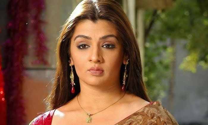  Aarthi Agarwal Biopic In Tollywood, Telugu Cinema, Celebrities Lifestyle, Biopic-TeluguStop.com