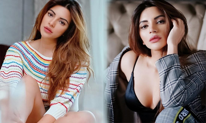 Actress Shama Sikander Beautiful Clicks-telugu Actress Photos Actress Shama Sikander Beautiful Clicks - Shamasikander High Resolution Photo