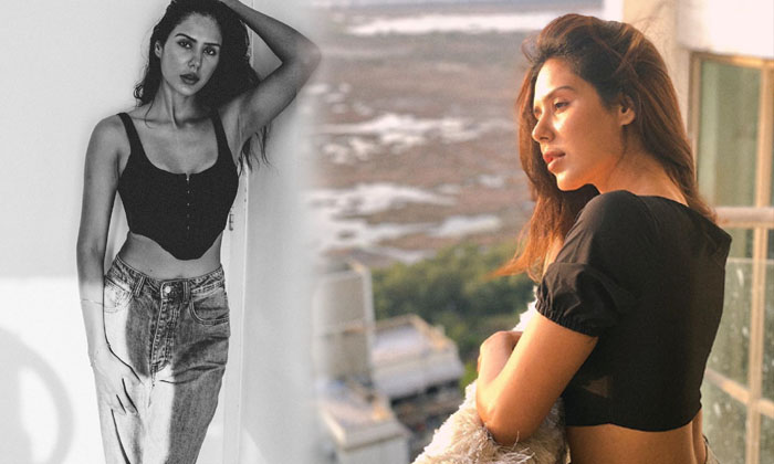 Actress Sonam Bajwa Captivating Clicks-telugu Actress Photos Actress Sonam Bajwa Captivating Clicks - Actresssonam  Mala High Resolution Photo