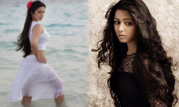 Actress Charmy Kaur Beautiful Clicks-telugu Actress Photos Actress Charmy Kaur Beautiful Clicks - Actresscharmy  Charmyk High Resolution Photo