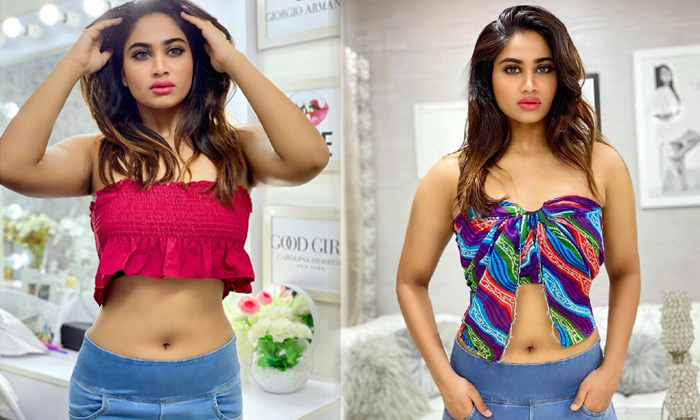 Actress Shivani Narayanan Hot Navel Show-telugu Actress Photos Actress Shivani Narayanan Hot Navel Show - Yanan Shivani High Resolution Photo