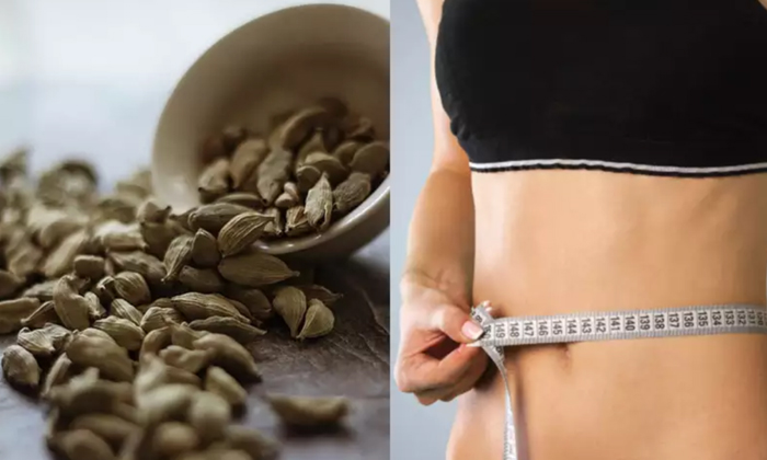 Telugu Cardamom, Cough, Elachi, Elachi Seed, Elachi Hot, Benefits Elachi, Benifi