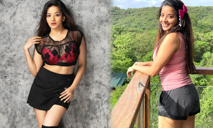 Beauty Asli Monalisa Amazing Pictures-telugu Actress Photos Beauty Asli Monalisa Amazing Pictures - Aslimonalisa Hd High Resolution Photo