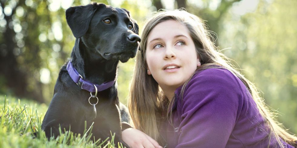 Research: Dogs Can Sniff Out Covid-19 Patients-TeluguStop.com