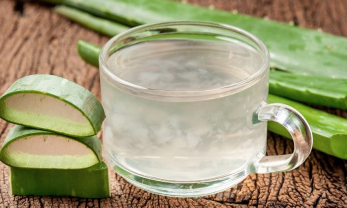  Health Benefits Of Eating Aloe Vera In Early Morning! Health Benefits, Aloe Vera-TeluguStop.com