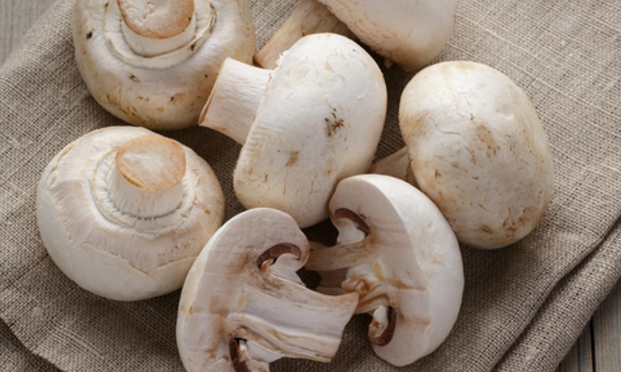  What Are The Health Benefits Of Mushrooms? Health Benefits Of Mushrooms, Mushroo-TeluguStop.com