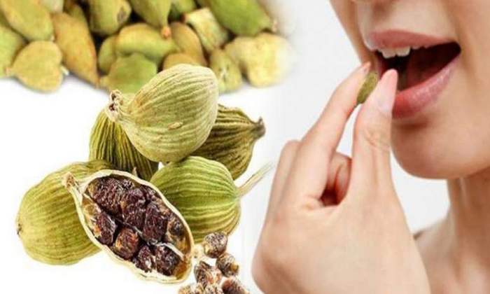  Health Benefits Of Eating Elachi, Elachi, Cardamom, Elachi Seed, Elachi With Hot-TeluguStop.com