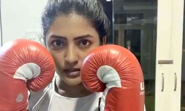  Eesha Rebba Play Boxer Role Her Next Movie, Tollywood, Telugu Heroines, Love Sto-TeluguStop.com