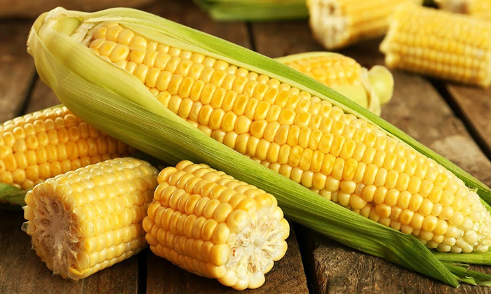  What Are The Health Benefits Of Corn! Health Benefits Of Corn, Corn, Health, Hea-TeluguStop.com