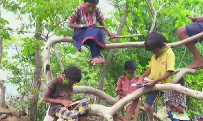  Maharashtra Man Teaches Kids On Tree Top, Maharashtra, Tree Top, Online Classes,-TeluguStop.com