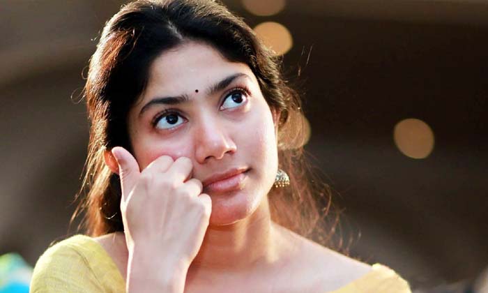  Sai Pallavi No Offers In Kollywood, Sai Pallavi, Maari 2, Ngk, Kollywood News-TeluguStop.com