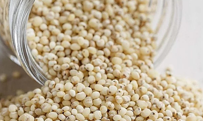  What Are The Health Benefits Of Sorghum! Health Benefits Of Sorghum, Sorghum, He-TeluguStop.com