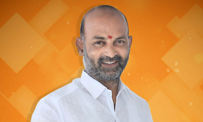  Telangana Bjp Announces New Working Group Telangana Bjp, Bandi Sanjay, Bjp Lead-TeluguStop.com