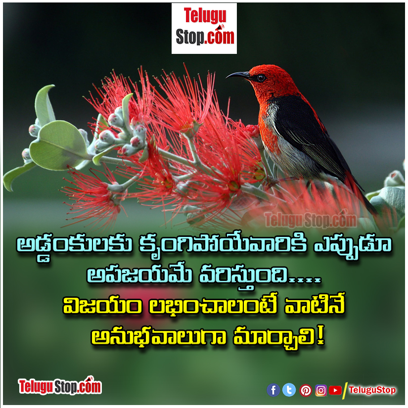 Telugu quotes life Inspirational Quote