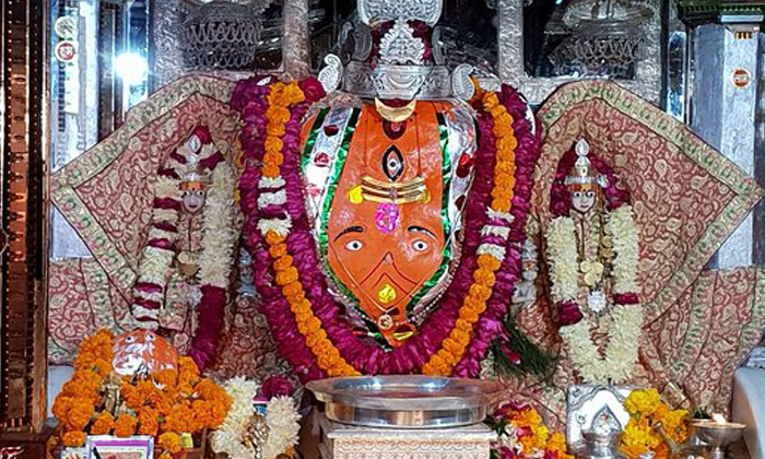 Telugu Devotee, Letter, Ranthambore, Sawai Madhopur, Sendletter, Swami, Trinetra