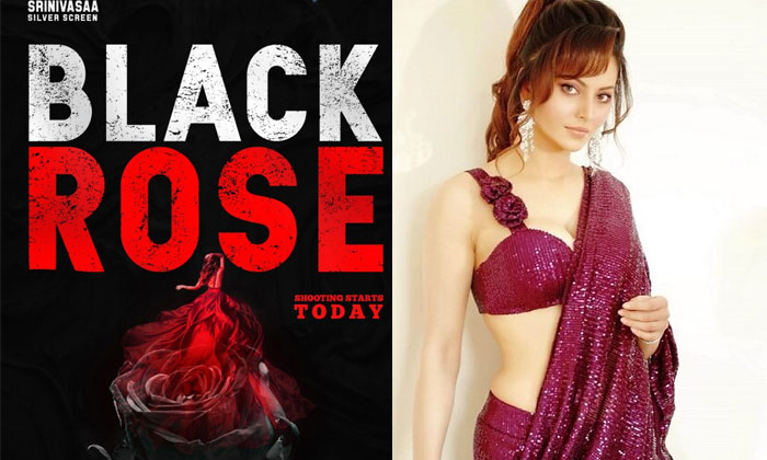  Urvashi Rautela Acting In Black Rose Movie, Sampath Nandi, Black Rose Movie, Tol-TeluguStop.com