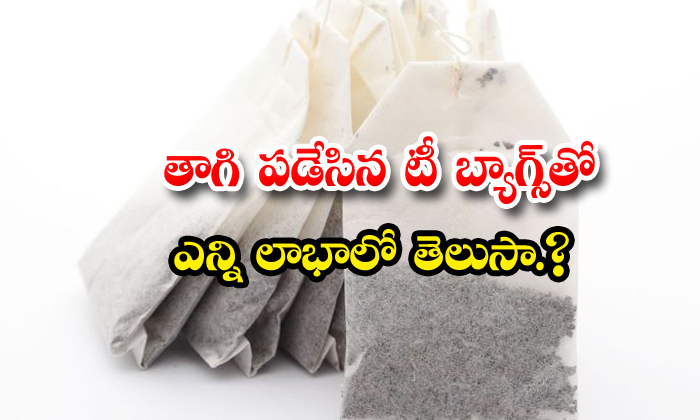  Ways To Use Tea Bags Soil Fertility Plants-TeluguStop.com