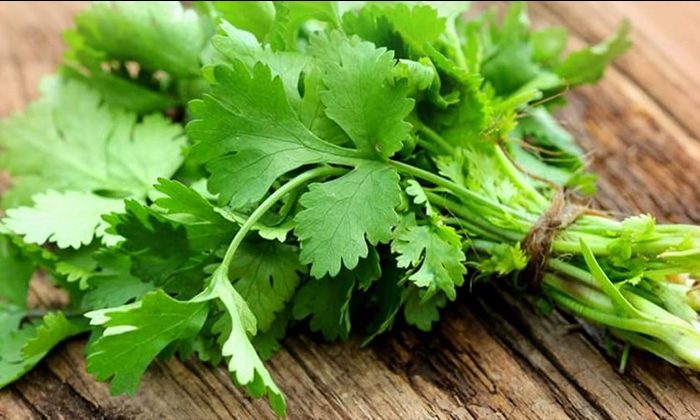  Coriander, Health, Heart, Cooking, Foods, Garnish-TeluguStop.com