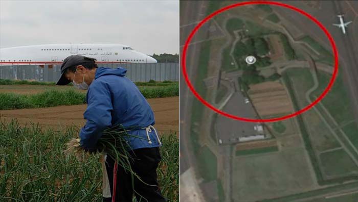  Farmer Lives In The Middle Of Japan S Narita Airport  Farmer, Japan, Narita Airp-TeluguStop.com