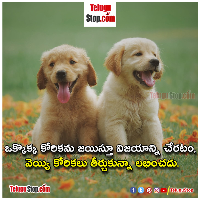 happy quotes in telugu inspirational