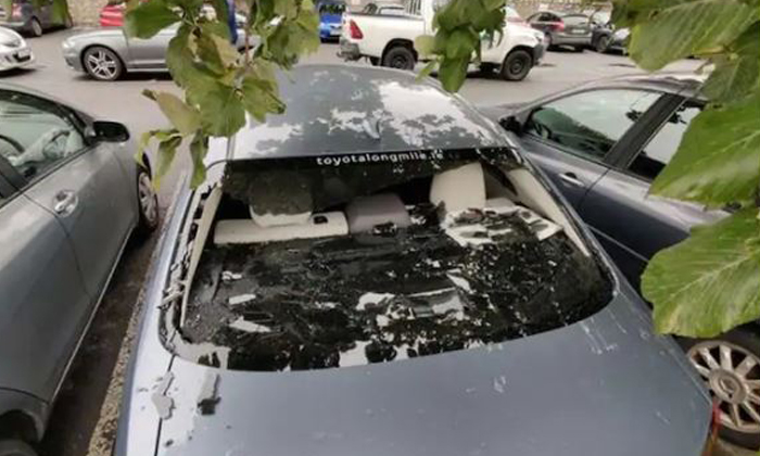 Telugu Car Window, Irelandskevin, Stadium-Telugu NRI