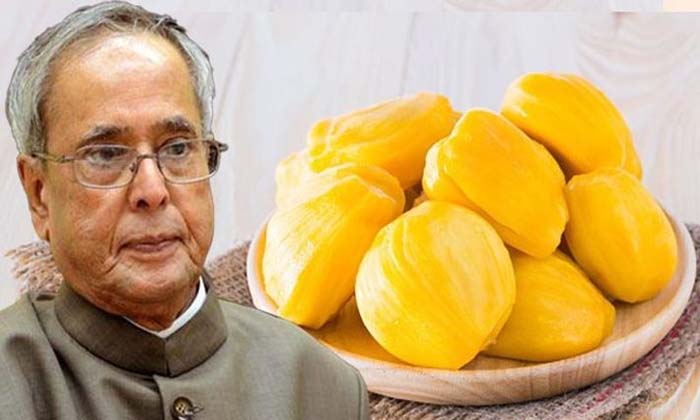  Pranab Mukherjee,  Jackfruit, Village, Son Abhijit,-TeluguStop.com