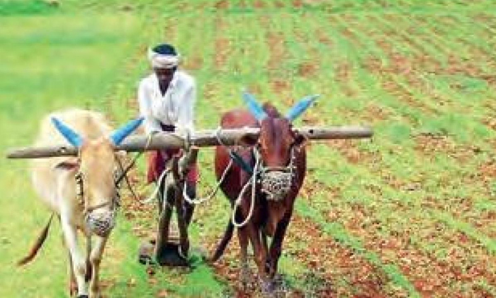  State Bank Of India Good News For Farmer Customers  Sbi, Rythu, Farmers, God New-TeluguStop.com