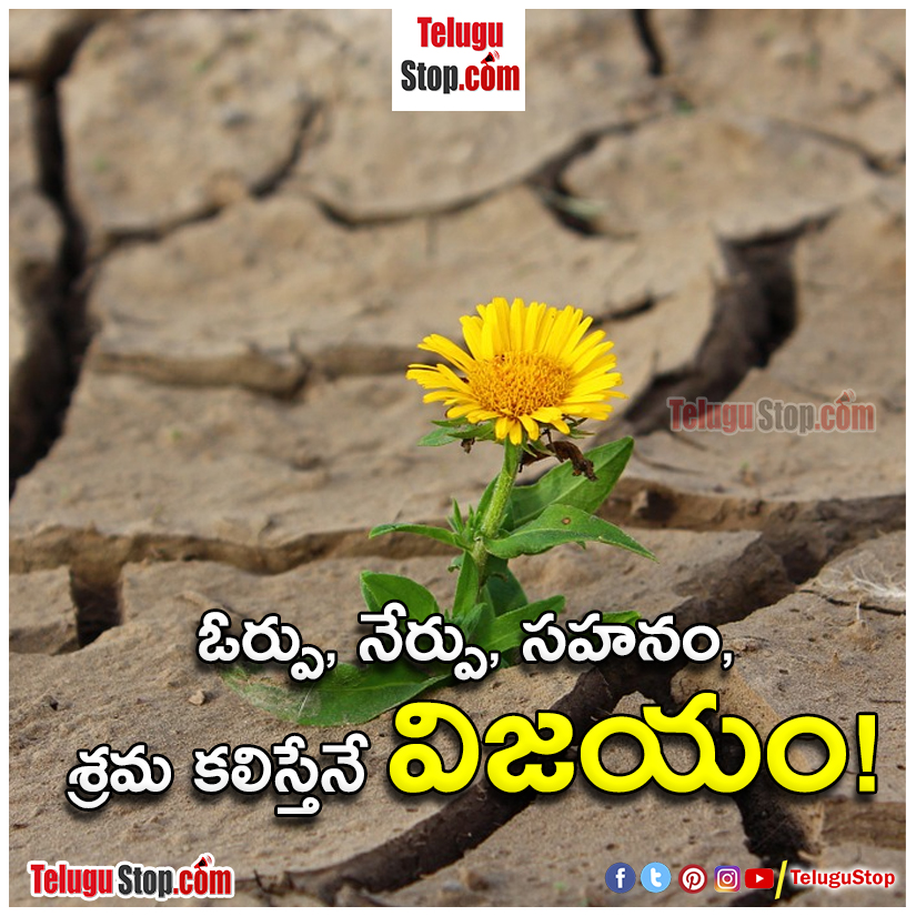 success quotes in telugu Inspirational Quote