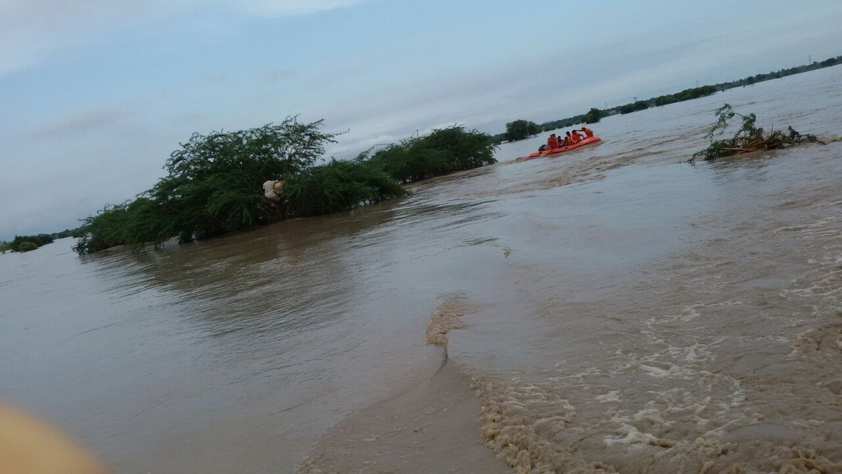  Warangal, Rising Water Follow, Danger-TeluguStop.com