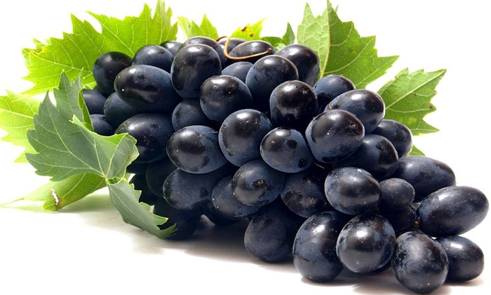  What Are The Health Benefits Of Black Grapes? Health Benefits Of Black Grapes,-TeluguStop.com