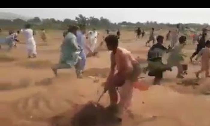  Pakistan Men, Viral Video, Imran Khan, Plant Trees-TeluguStop.com