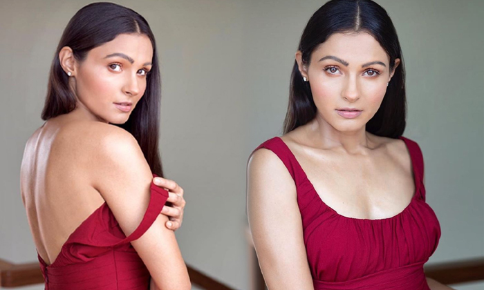 Actress Andrea Jeremiah Gorgeous Images-telugu Actress Photos Actress Andrea Jeremiah Gorgeous Images - Actressandrea  A High Resolution Photo