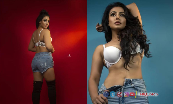  Pic Talk: Nandini Rai’s Eye-popping Treat-TeluguStop.com