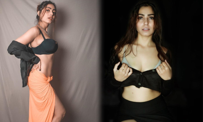 Actress Dinky Kapoor Hot Images-telugu Actress Photos Actress Dinky Kapoor Hot Images -  Dinkykapoor High Resolution Photo