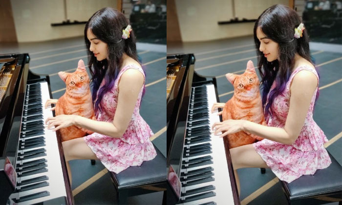  Adah Sharma Plays The Piano, Tollywood, Nepotism, Bollywood, Adah Sharma, Palyin-TeluguStop.com