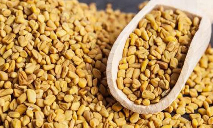  Fenugreek Seeds To Control Diabetes, Health Benefits Of Fenugreek Seeds, Fenugre-TeluguStop.com