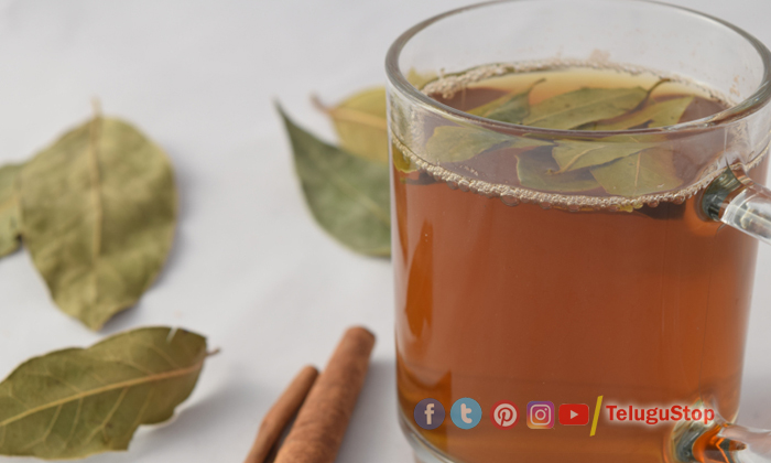  What Are The Health Benefits Of Bay Leaves! Health Benefits Of Bay Leaves, Healt-TeluguStop.com