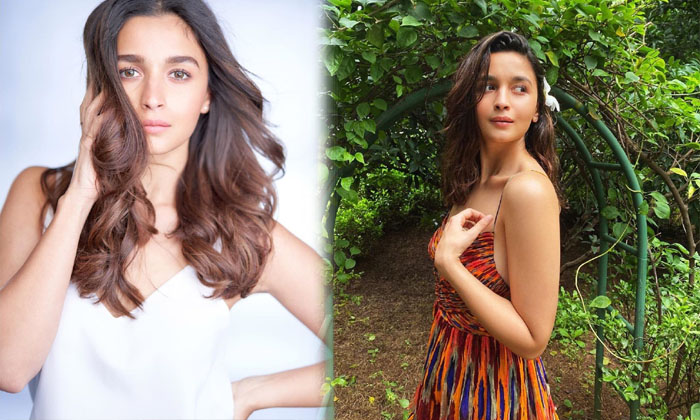 Bollywood Actress Alia Bhatt Sizzling Photos-telugu Actress Photos Bollywood Actress Alia Bhatt Sizzling Photos -  Aliab High Resolution Photo